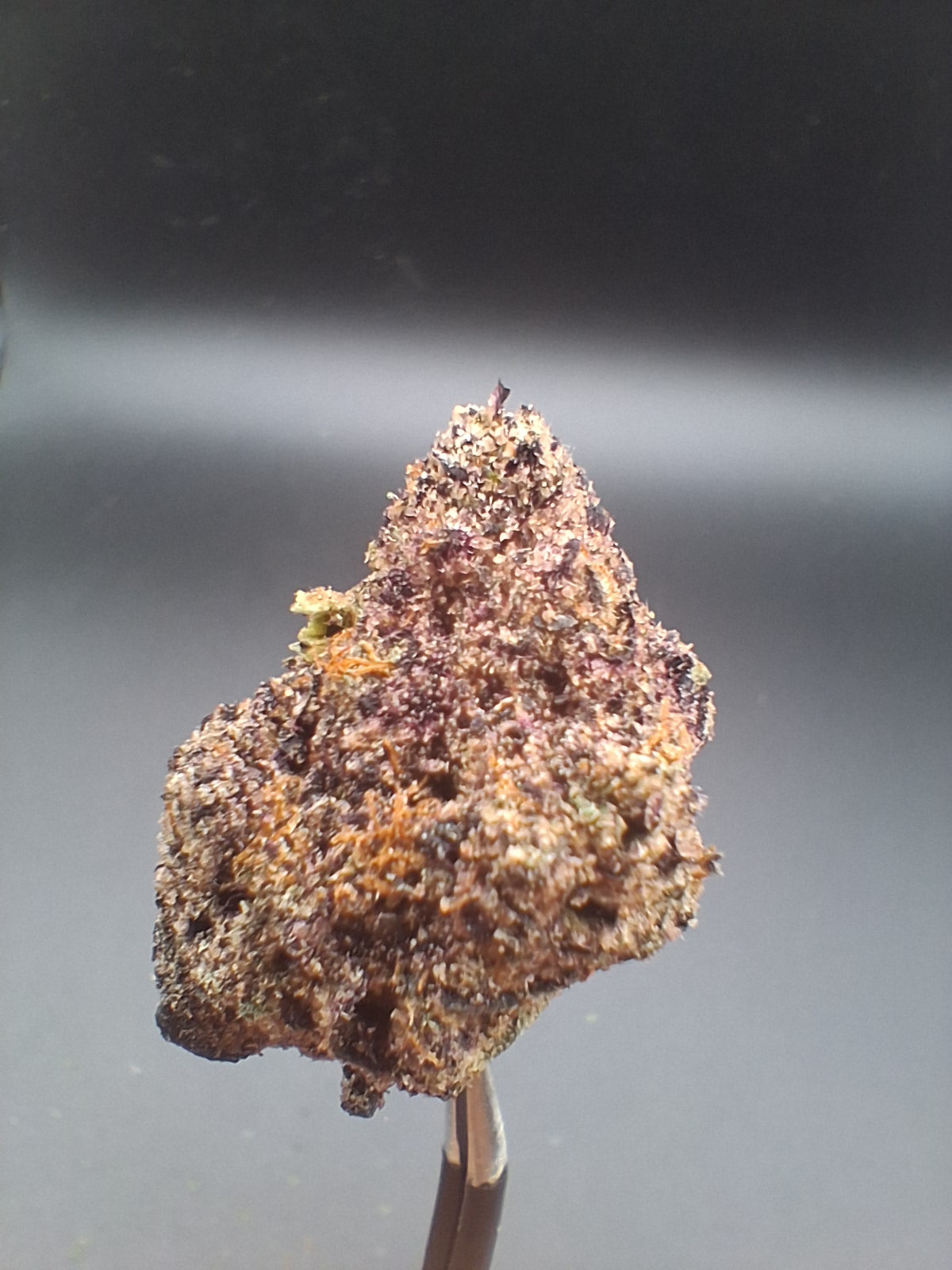 Connoisseur Sampler