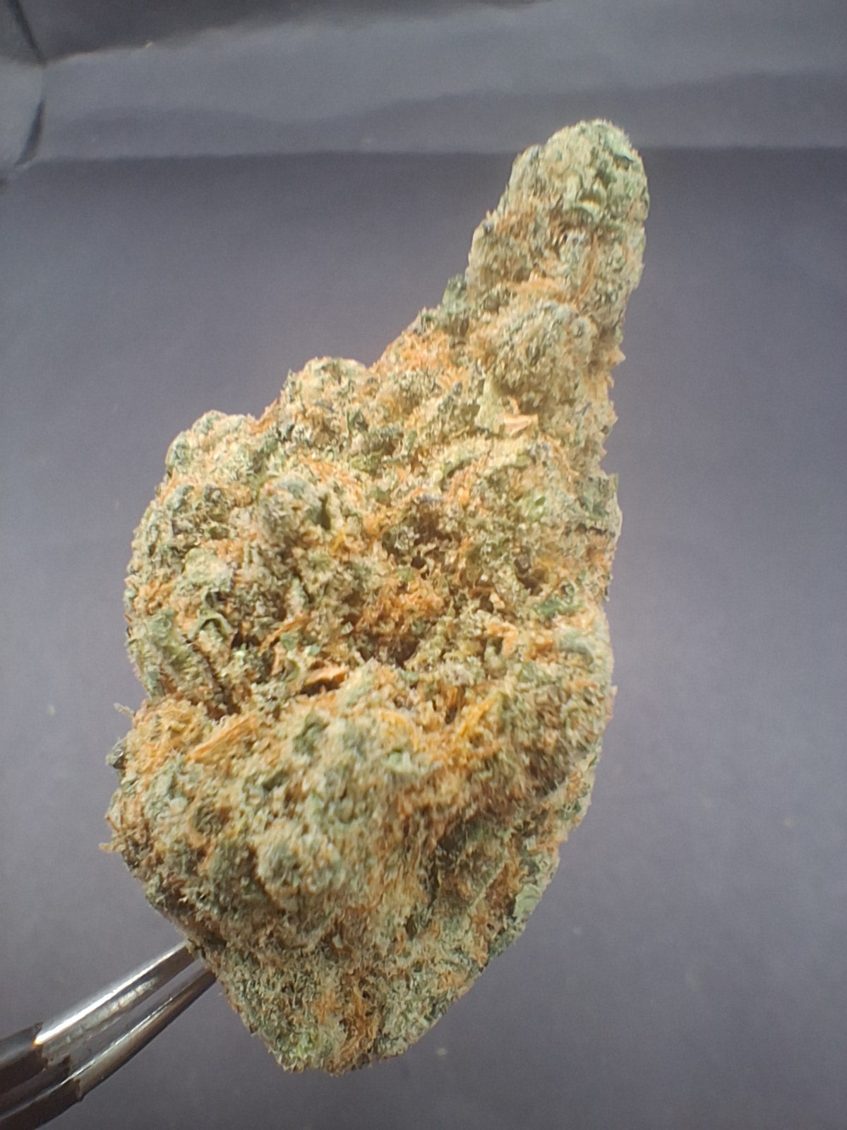 Connoisseur Tier SuperBoof
