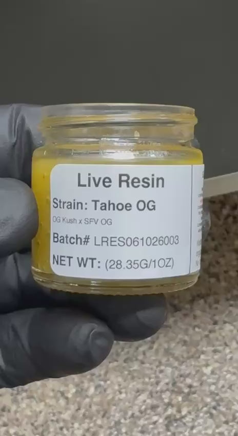 Connoisseur Live Resin Tahoe OG (OG Kush X SFV OG)